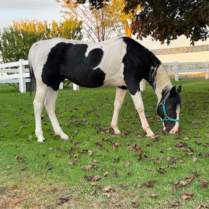 Meet your Posher, Cortney